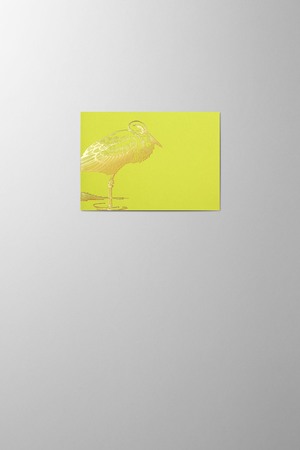 Hieronymus Birth Small A6 Greeting Card Adebar Lime Small A005812 A005812 Lime.jpg