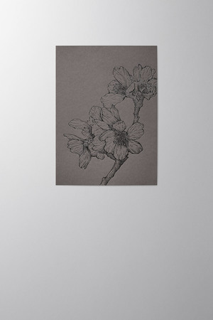 Hieronymus Greetingcards Condolence Greeting Card Sakura Graphite A005815 