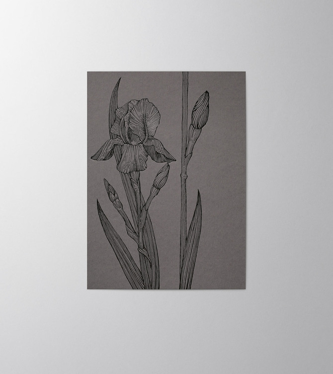 Hieronymus Condolence Greeting Card Iris Graphite Black A005830 