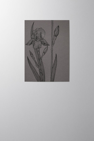 Hieronymus Condolence Greeting Card Iris Graphite Black A005830 