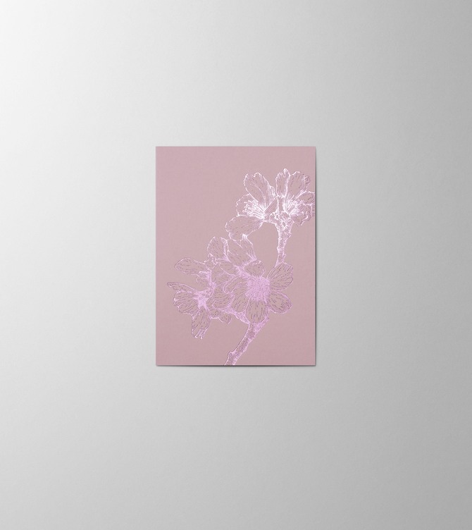 Hieronymus Small A6 Greeting Card Sakura Rosewood Small A005840 A6.jpg