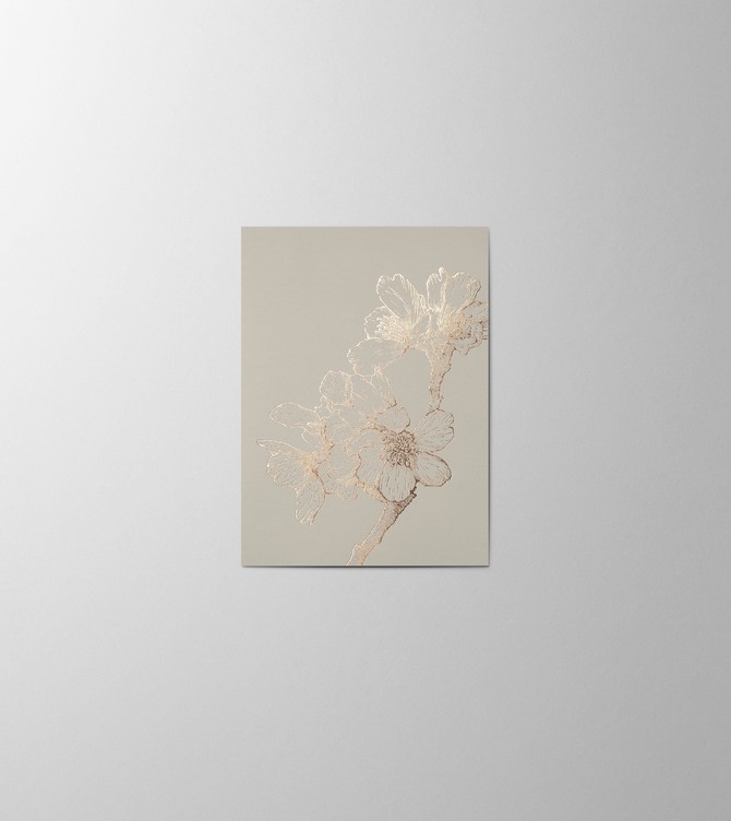 Hieronymus Small A6 Greeting Card Sakura Dust Small A005841 A6.jpg