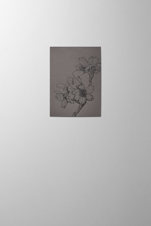 Hieronymus Condolence Small A6 Greeting Card Sakura Graphite Small A005842 A6.jpg