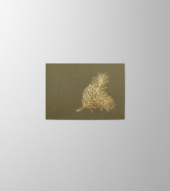 Hieronymus Small A6 Greeting Card Pine Olive Small A005852 A005852 Olive.jpg