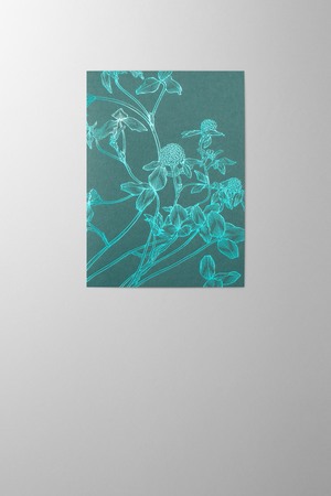 Hieronymus New Year Greetingcards Greeting Card Trifolium Pratense Petrol A005869 