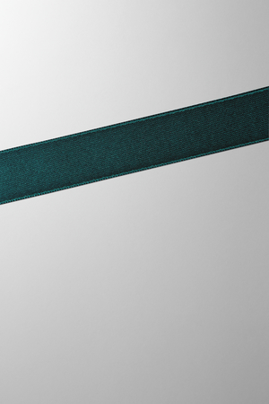 Hieronymus Ribbon Dark Green 16mm A000363 Totalview