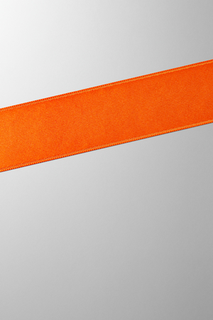 Hieronymus Ribbon Orange 25mm A000374 Totalview
