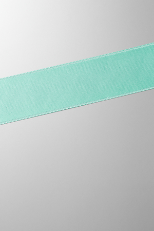 Hieronymus Ribbon Mint 25mm A000386 Totalview