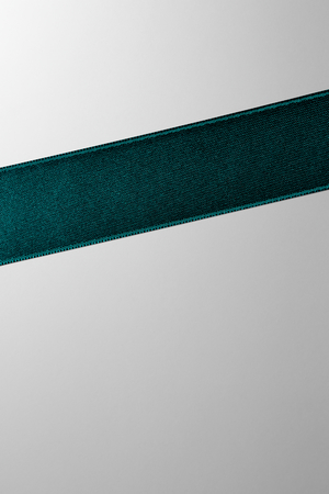 Hieronymus Ribbon Dark Green 25mm A000387 Totalview