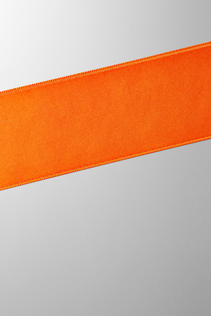 Hieronymus Ribbon Orange 40mm A000393 Totalview