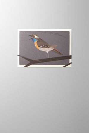 Hieronymus Greeting Card Bluethroat Anthracite A000569 A6