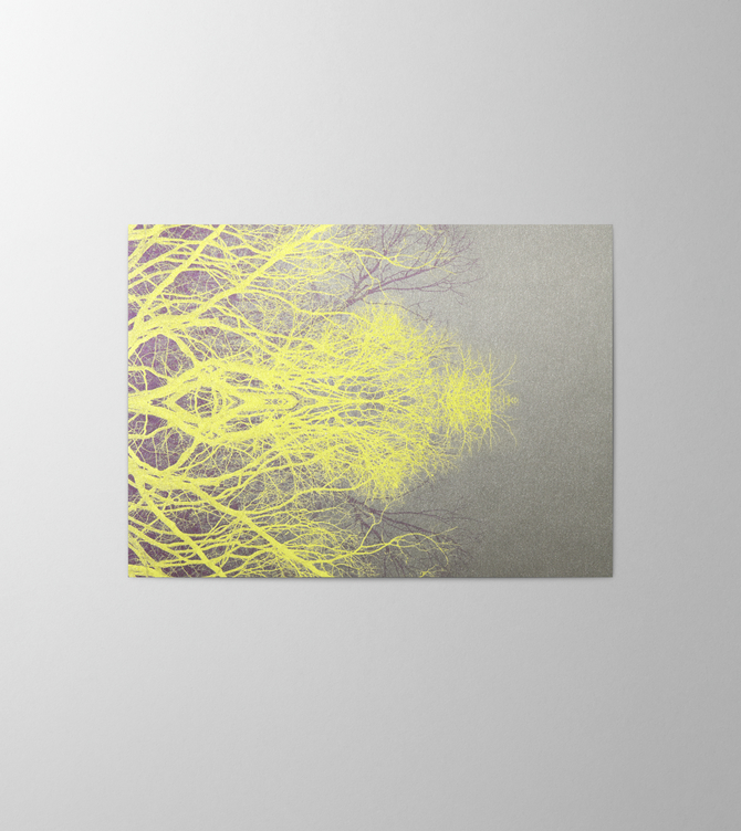 Hieronymus Greeting Card Trees Intense #4 A000587 A5
