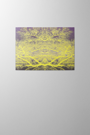 Hieronymus Greeting Card Trees Intense #6 A000588 A5