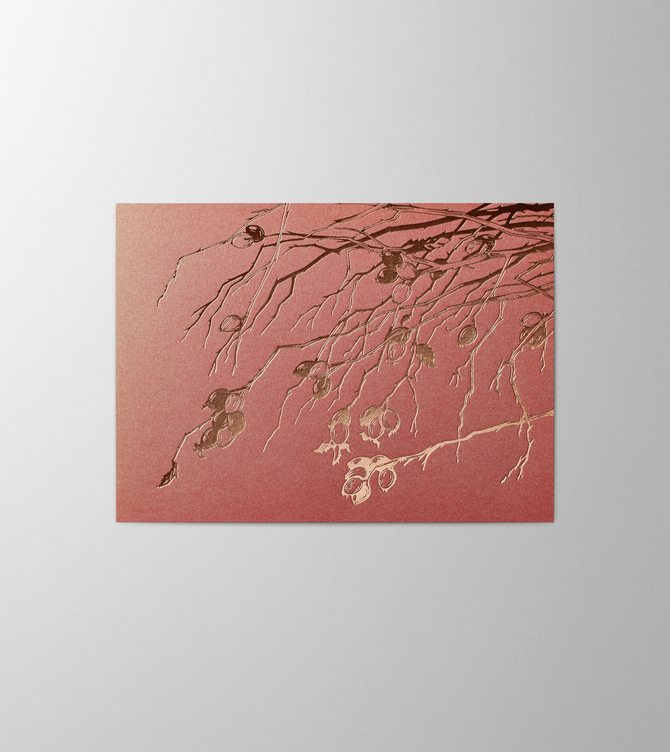 Hieronymus Christmas Greetingcards Greeting Card Rose Hip Copper A003121 A5