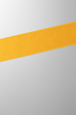Hieronymus Ribbon Gold 25mm A004044 Totalview