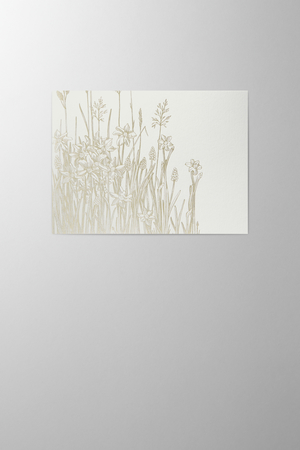 Hieronymus Greetingcards Greeting Card Meadow White Green A004134 A5