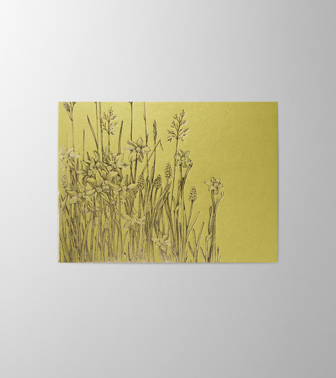 Hieronymus Greetingcards Greeting Card Meadow Spring Green A004135 A5
