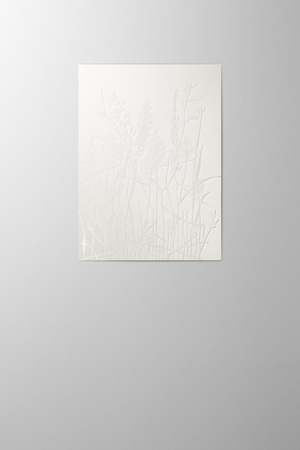 Hieronymus Condolence Greetingcards Greeting Card Leafs of Grass White Cream A004553 A5
