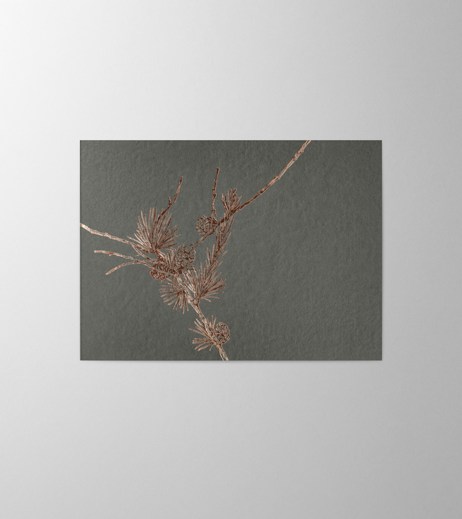 Hieronymus Christmas Greetingcards Greeting Card Larix Anthracite A004807 A5