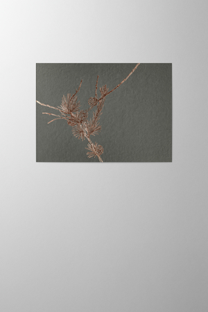 Hieronymus Christmas Greetingcards Greeting Card Larix Anthracite A004807 A5