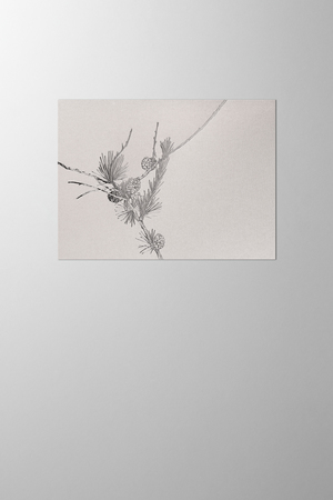 Hieronymus Greetingcards Christmas Greeting Card Larix Light Silver A005472 A005472 A.jpg