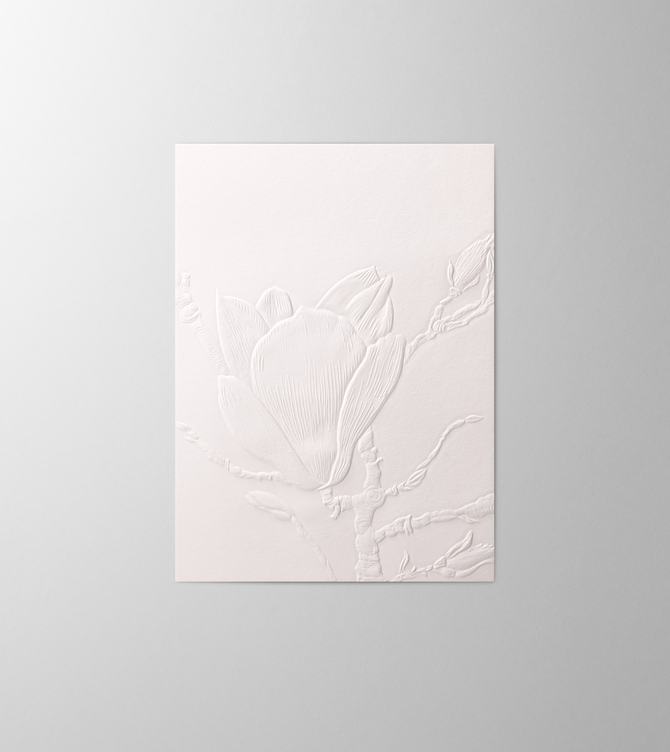 Hieronymus Birthday Mother's Day Greetingcards Greeting Card Magnolia Cotton White Red A005475 A5