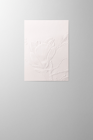 Hieronymus Birthday Mother's Day Greetingcards Greeting Card Magnolia Cotton White Red A005475 A5