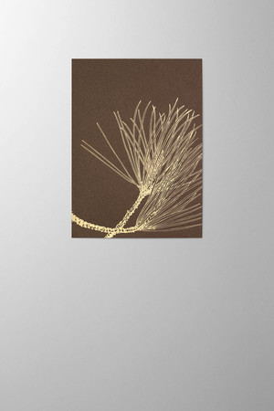 Hieronymus Greetingcards Christmas Greeting Card Pinus Nigra Chocolate A005799 A005799 A.jpg