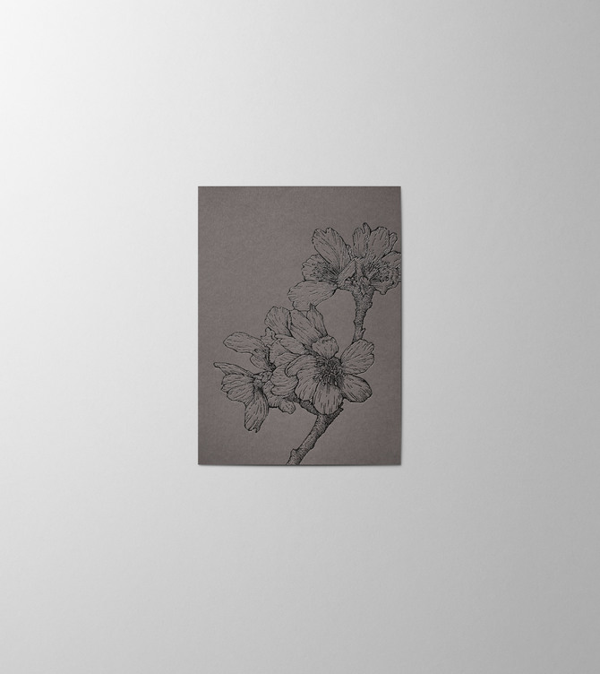 Hieronymus Small A6 Condolence Greeting Card Sakura Graphite Small A005842 A6.jpg