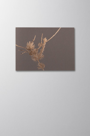Hieronymus Greetingcards Christmas Greeting Card Larix Dark Mauve A005663 A005663 A.jpg